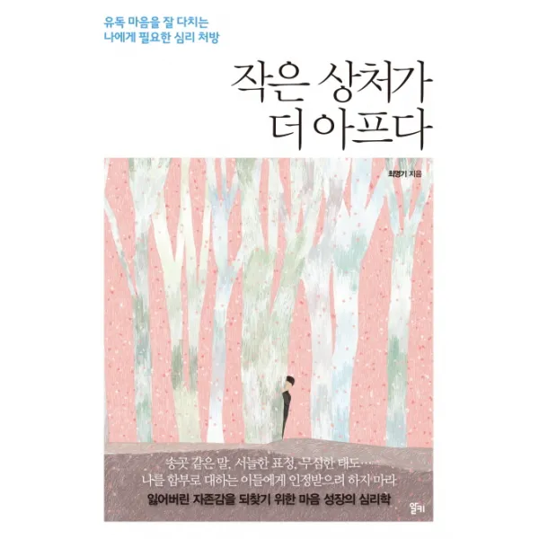 작은 상처가 더 아프다:유독 마음을 잘 다치는 나에게 필요한 심리 처방, 알키