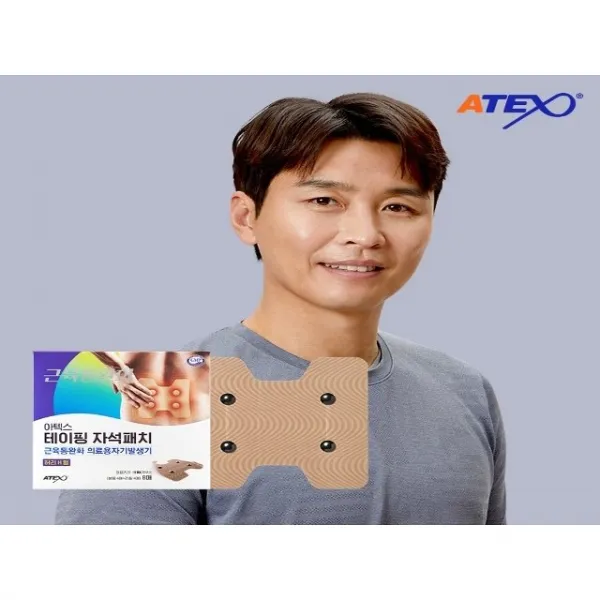 아텍스 테이핑 근육통완화 자석패치 허리 H형 1100가우스, 1개, 8개입