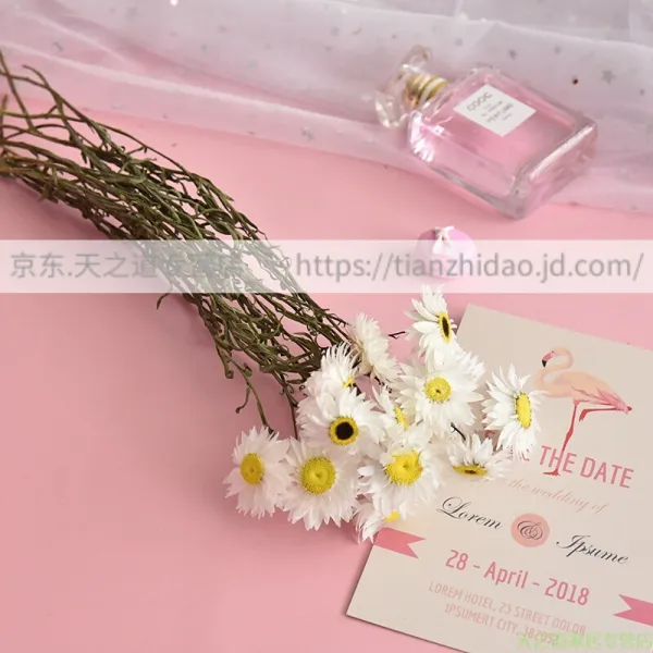 데이지 마른꽃 진짜 꽃다발 미니 꽃병 문예 소청집 (로단스 단두) 흰색 긴 다발 1 묶음 10자루 건화가방
