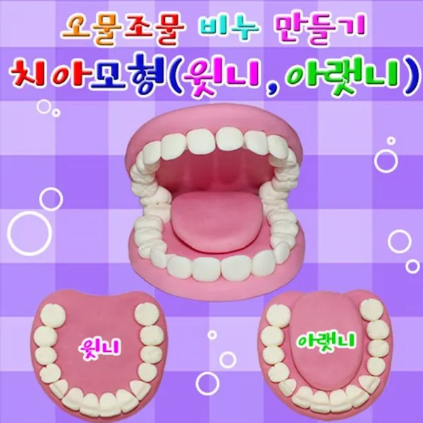 치아모양비누 윗니와 아랫니 3세트 서적 교재 유아과학교구 과학상자 초등학교실험 hyga, 1개