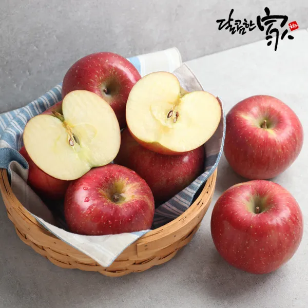 [달콤한家] 고당도 경북사과 5kg(16~19과), 필수선택:경북사과 5KG