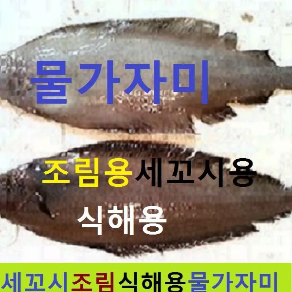 (쌍다리상회)국내산 생물 가자미 고급 물가자미 대 중 소 5kg, 생물 가자미 특대 25-30cm 30-40마리 5kg