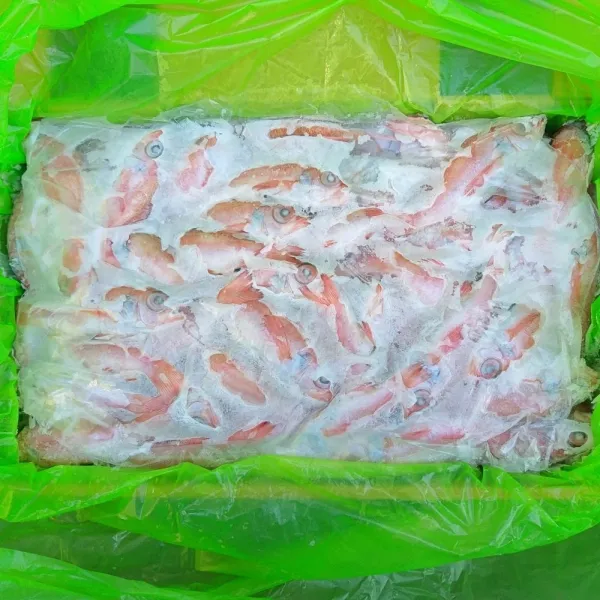 금태 눈볼대 아까무스 아까모찌 붉조기 1kg 10kg 식당용 구이 흰살생선 제주직송 금태 소소 10kg 130~140마리 