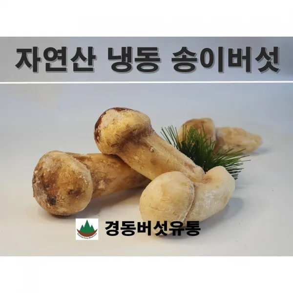 자연산 냉동 송이버섯 1KG / 경동버섯유통, P