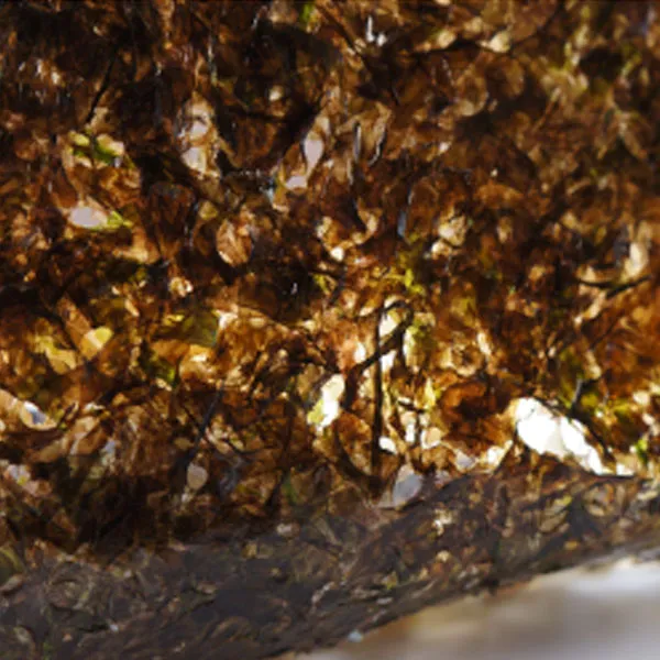 완도 재래김 전통 지주식 20장 해산물/건강/바다/해물/씨푸드 단일 수량