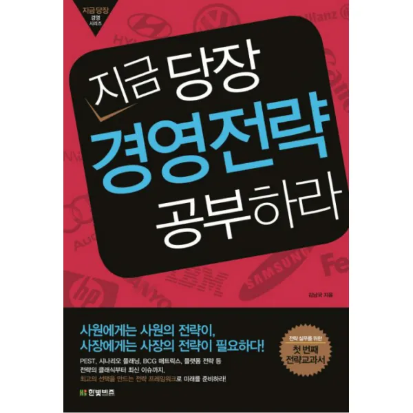 지금 당장 경영전략 공부하라:전략 실무를 위한 첫 번째 전략교과서, 한빛비즈