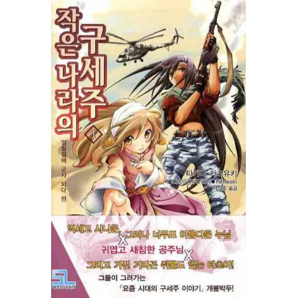 작은 나라의 구세주. 1:얼떨결에 군사 되다, 디앤씨미디어