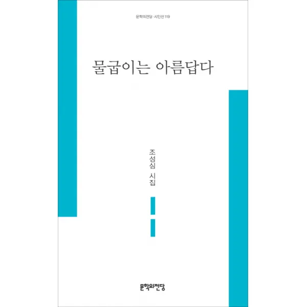 물굽이는 아름답다:조성심 시집, 문학의전당