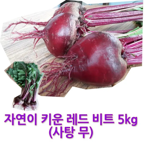 철새도래지 진채 비트 농장 햇 레드비트 5kg, 1box