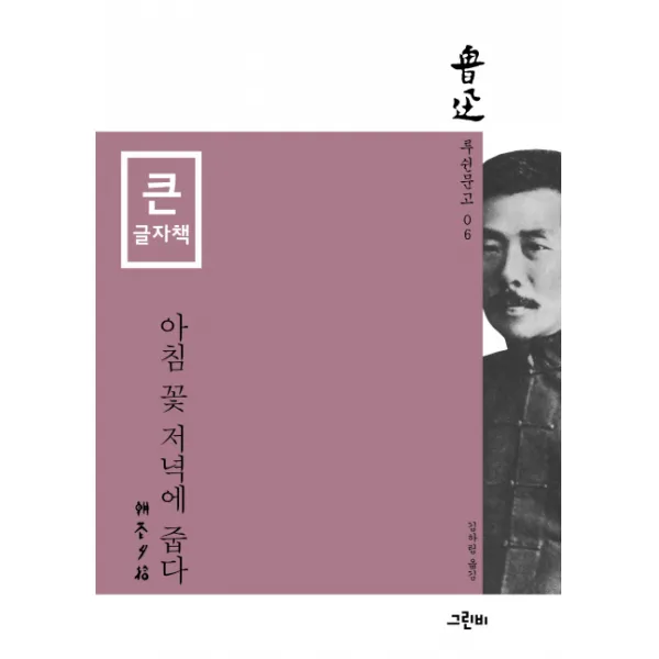 아침 꽃 저녁에 줍다(큰글자책)(루쉰문고 6), 그린비