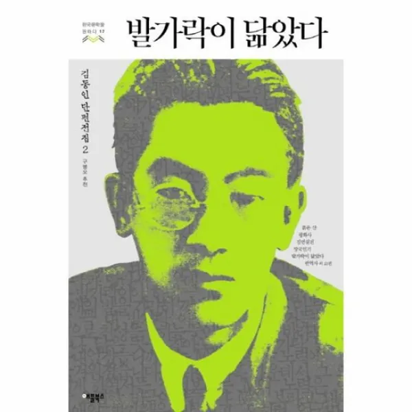 발가락이 닮았다 17 한국문학을권하다