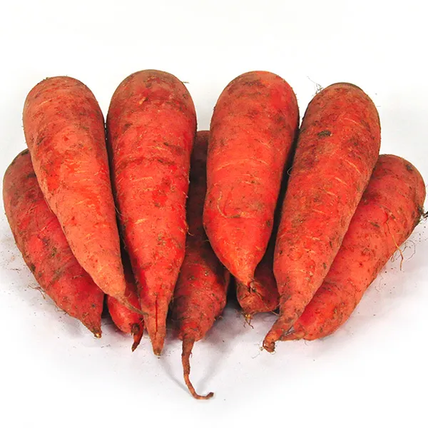 국내산 흙당근 쥬스용 요리용 특상품 선택 3kg /5kg