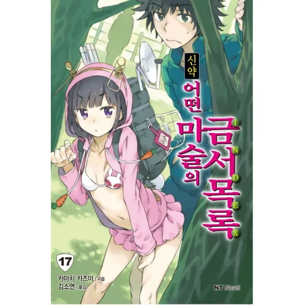 신약 어떤 마술의 금서목록. 17, 대원씨아이