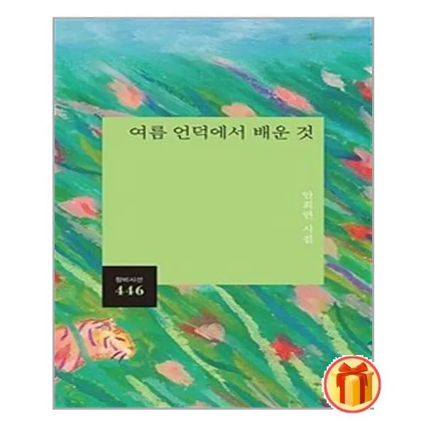 여름 언덕에서 배운 것 | 창비+ |안심포장|빠른배송| (전1권)