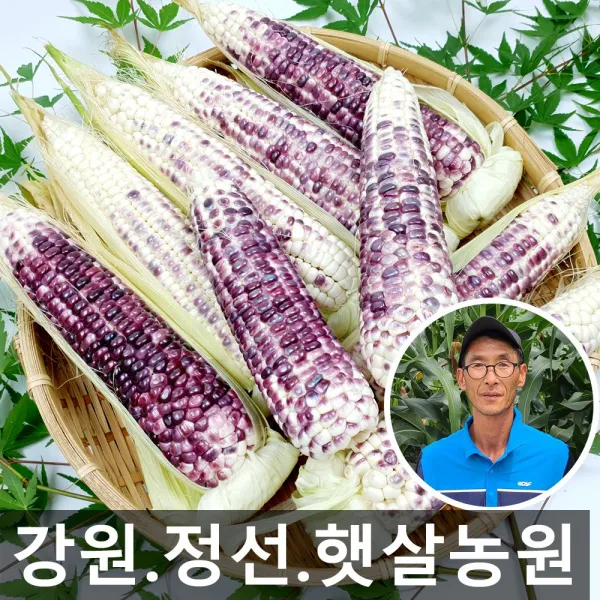 햇살농원 무농약 강원 정선 생 흑찰옥수수, 30개, 햇살농원 정선 흑찰옥수수