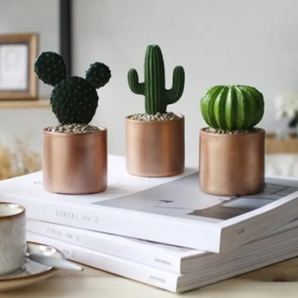  텐바이텐 골드 선인장 3종 Set_ 1416530 골드 선인장 3종 Set