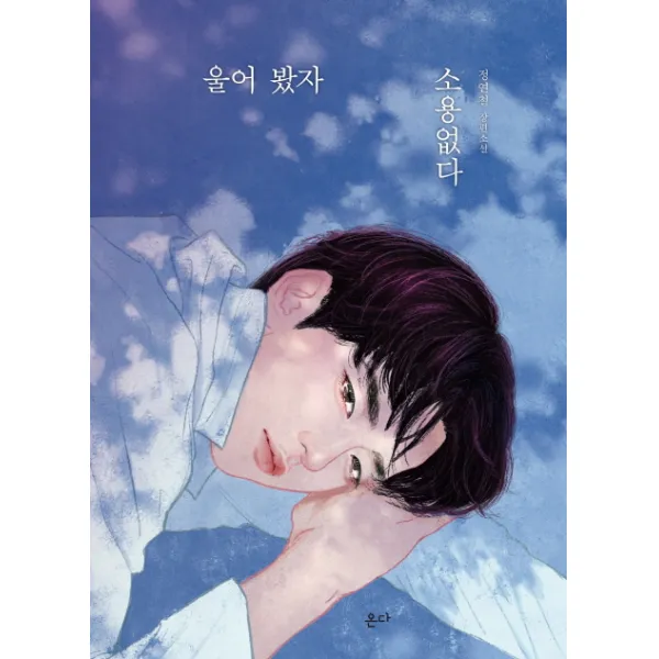 울어 봤자 소용없다:정연철 장편소설, 온다