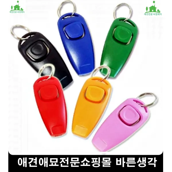 운동량적은댕댕이활동력증진 반려견영양제 애완영양제