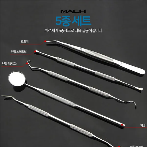 Mach 치아 치석제거 스케일러 치석제거기 5종세트 1세트 5종