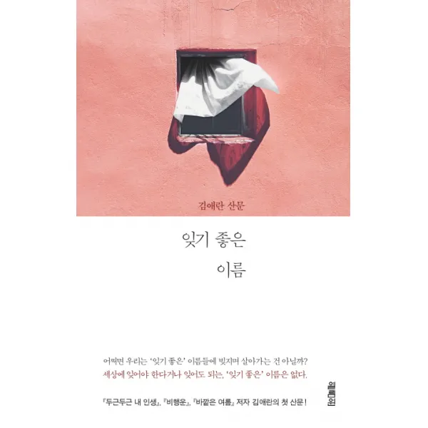 잊기 좋은 이름:김애란 산문
