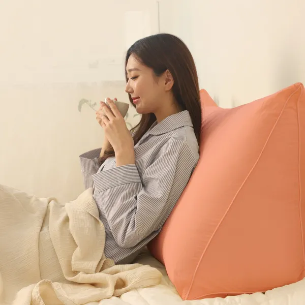 수니홈 기대미 삼각 등받이 쿠션 침대 쇼파 등 다리 베개 집순이, 팬톤 내맘에톡쏘다