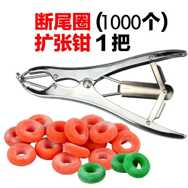 돼지와 양 뒤끝이 부러지다 확장집게 램스울 거세 어린돼지 무 피 가다 바이스 확장집게 1손잡이 _1000 개 거세