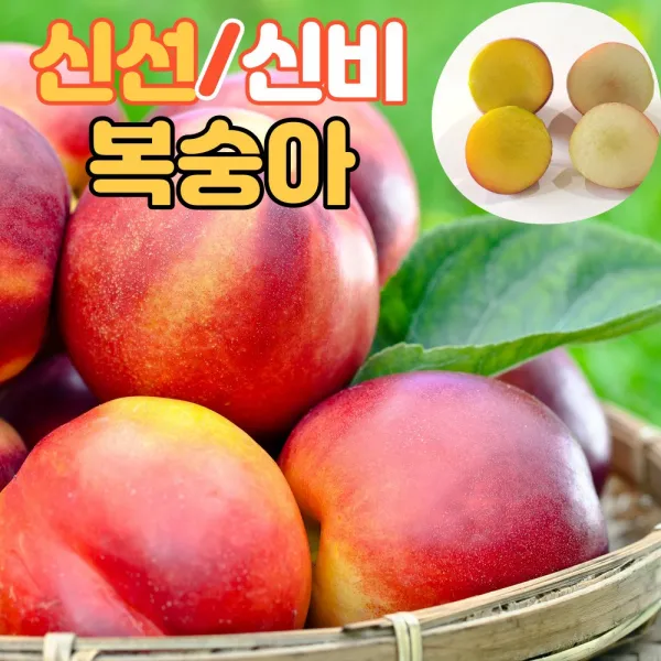 신선/신비 복숭아 백도처럼 부드러운 새콤달콤 한, 신선복숭아 1kg