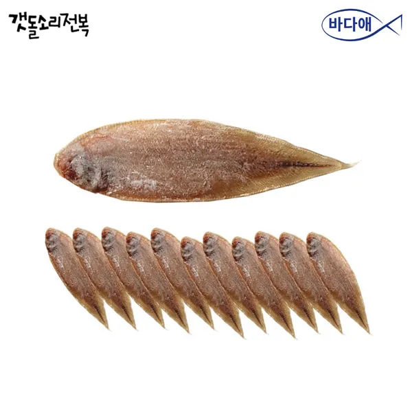 바다애 완도 마른서대 특대