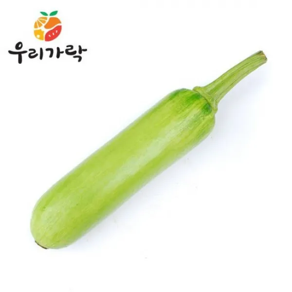 우리가락 인큐애호박 1개, 없음, 상세설명 참조