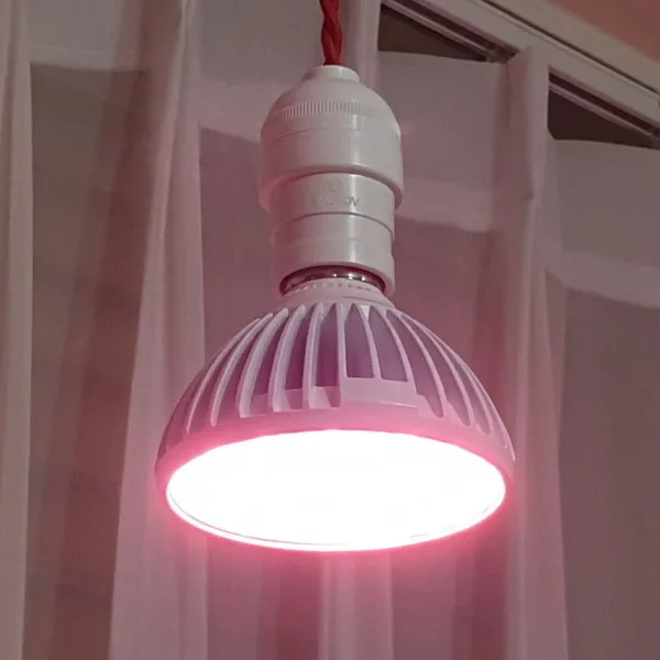 [바보사랑] LED식물전구 식물생장용 광합성전구 LED GROW LAMP, 전구타입:A타입(과일·꽃·열매전용)