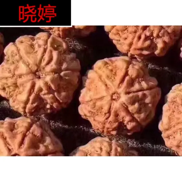 효정 네팔 6 판대 금강보살 불주 남녀 팔찌 침수 수순 살코기 하나 원자 산주 하나 살코기 벌집 하나 입수 즉 침정 6 판 20~2