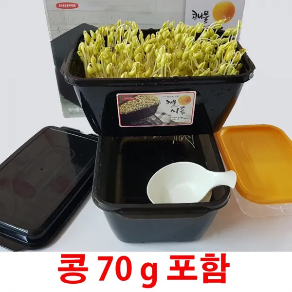 오스린 숙주나물 시루 콩나물 재배기 숙주 기르기 키트 세트