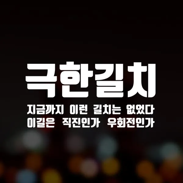 윈스턴 초보운전 스티커 극한초보 극한길치 차량용, 극한길치-화이트