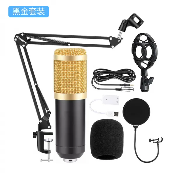 BM800 커패시터 마이크 + V8 사운드카드 다국적 앵커 컴퓨터 녹음 브래킷 대진막 생방송 세트, BM800+V8S