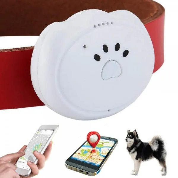 Jason Zeng GPS Dog 위성 추적기 및 활동 모니터 지능형 5 단계 포지셔닝 시스템 구독료 없음 IP67 깊이 방수 도그 및 고양이