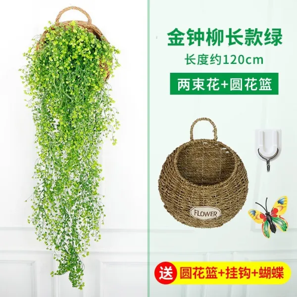 거실벽걸반 실외 C난초를 매달다 고급 분재 펜던트 블루 꽃 식물 진짜 적합 응접실이 있다 진열 의 녹색 2673809828, 2빔 롱 _빅 원바구니