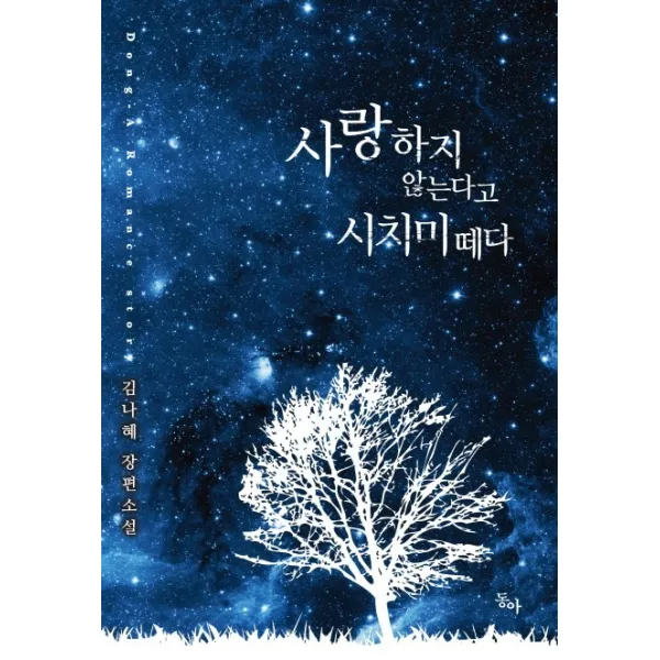 사랑하지 않는다고 시치미 떼다:김나혜 장편소설, 동아