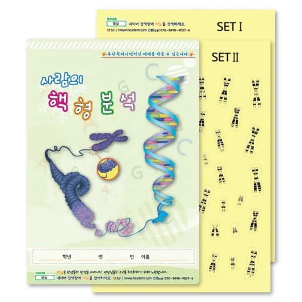 사람의 핵형분석 (35인용)