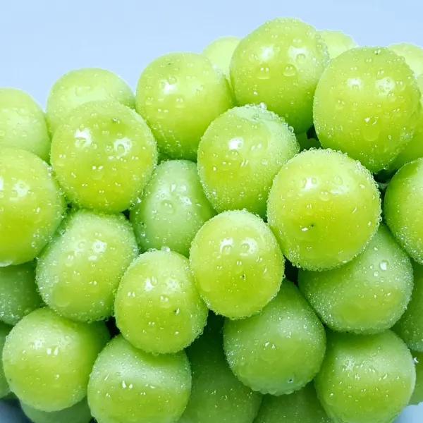  착한포도 프리미엄 샤인머스켓 망고포도 1박스 1kg 1수 