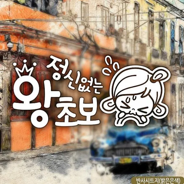 주닉스 초순이 정신없는왕초보 초보자동차스티커-반사 차량용 스티커