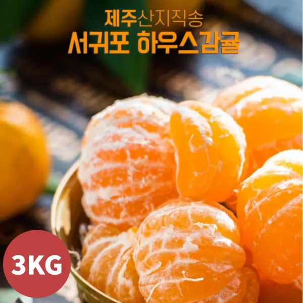 산지직송 제주특산물 서귀포 감귤 하우스 감귤 고당도 감귤 3kg 바로수확 바로발송