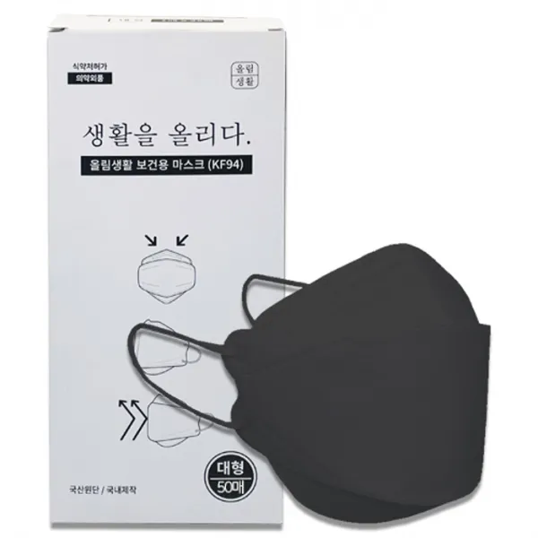 올림생활 보건용 마스크 대형 KF94, 25매입, 2박스, 블랙
