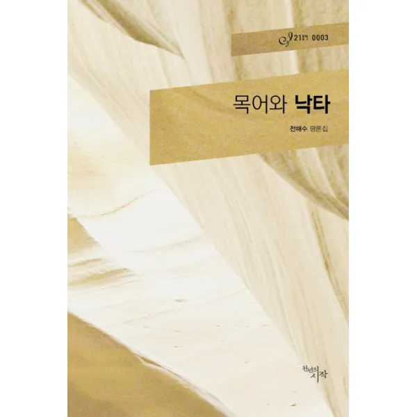 목어와 낙타:전해수 평론집 천년의시작