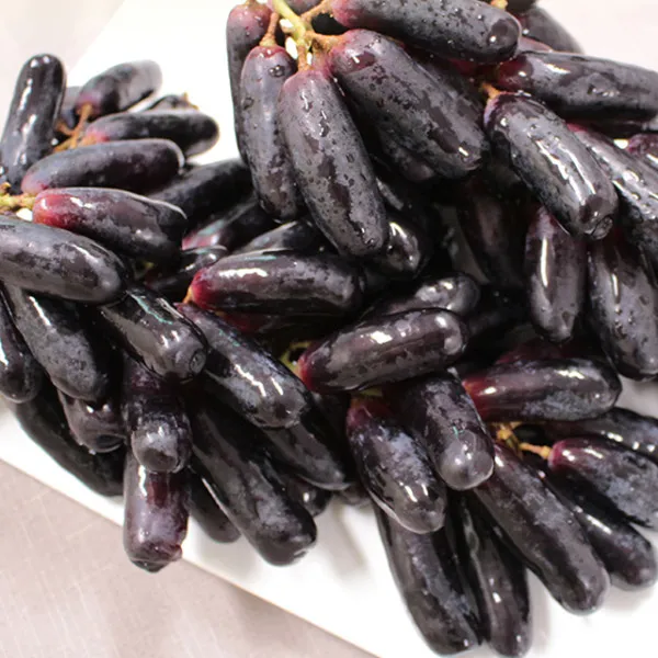 [장보리] 블랙사파이어 씨없는 포도 2kg, 상세 설명 참조