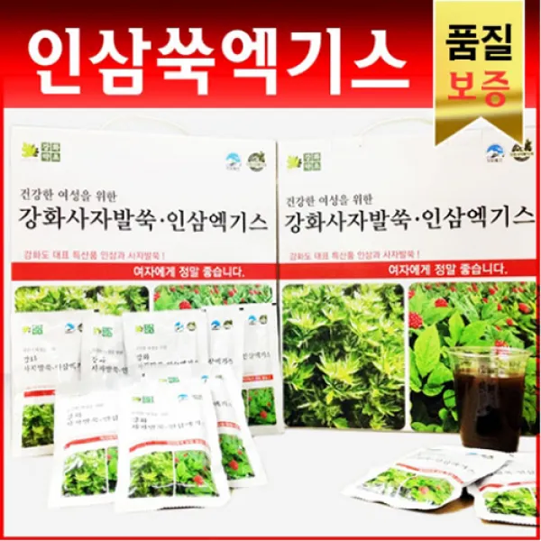 강화약초 사자발약쑥 엑기스 건강즙 100ml 인삼쑥엑기스 30개입 X 2박스