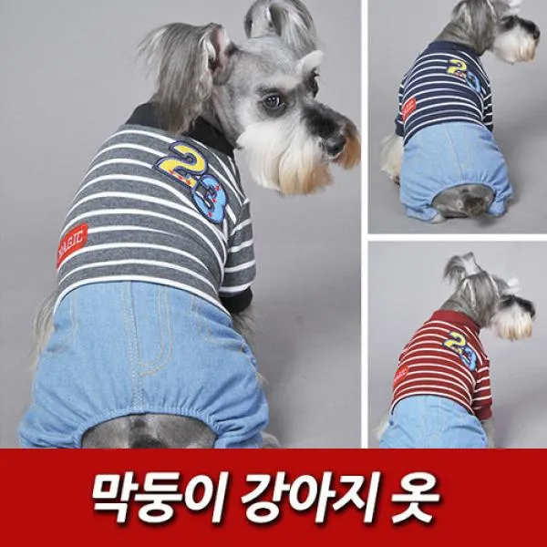 막둥이 강아지 옷, 네이비L