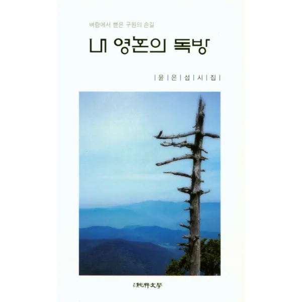내 영혼의 독방:윤은섭 시집, 순수문학