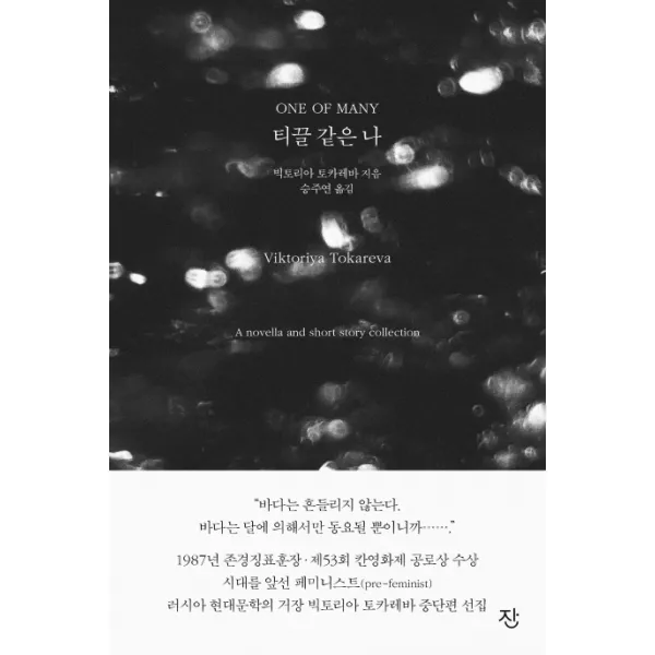 티끌 같은 나:A novella and short story collection, 잔