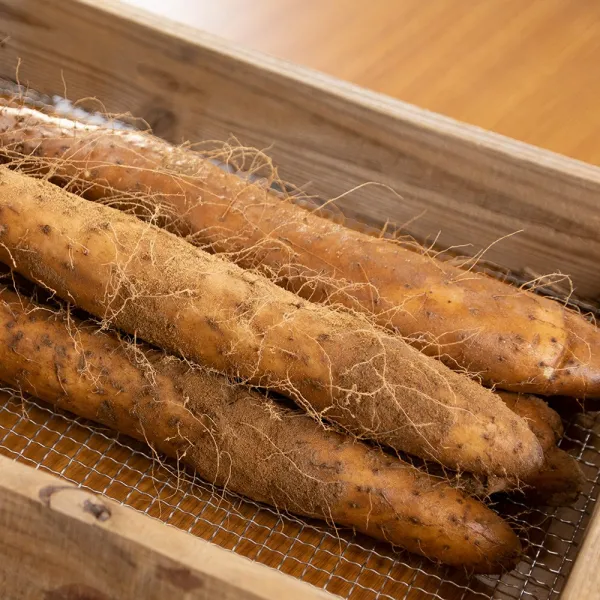 태산농장 참마 3kg, 1box, 02_장마 중품 3kg