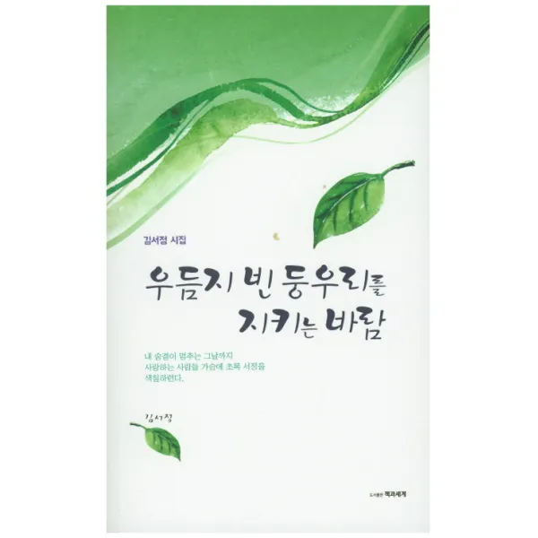 우듬지 빈 둥우리를 지키는 바람:김서정 시집, 책과세계